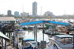 Photos of Surfers Paradise YHA @ Mainbeach