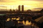 Photos of Surfers Paradise YHA @ Mainbeach
