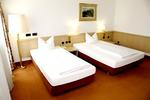 Adler Hotel
