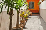 Enjoy Hostels - Image 7