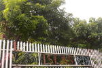 Islas 8817 Guesthouse - Image 3
