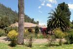 Finca San Pedro - Image 2
