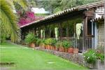 Finca San Pedro - Image 7