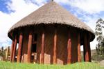 Finca San Pedro - Image 10