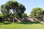 Athena Pension