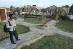 Western Desert Hotel and safari - Image 3