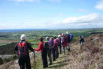 The Mourne Lodge - Image 3