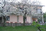 Photos of Le Terrazze