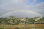 Photos of Le Terrazze