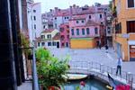 A Venice Fish - Image 5