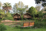 Wildebeest Eco Camp - Image 2