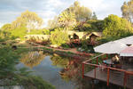 Wildebeest Eco Camp - Image 4