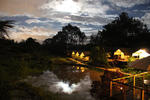Wildebeest Eco Camp - Image 5