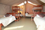 Wildebeest Eco Camp - Image 8