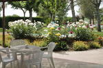 Jardins Del Segria - Image 4