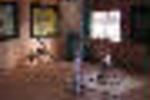 Jungle Blues Dream Art Gallery & Homestay - Image 2