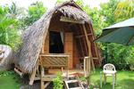 Alumbung Bohol Tropical Living - Image 7