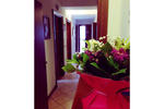 Hotel Alba - Image 4