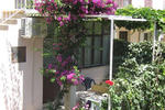 Photos of Jele and Luka's Apartments (SA-1)