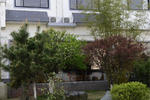 Huangshan Old Street Youth Hostel - Image 5