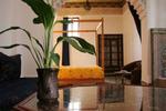 Riad Sara - Image 3