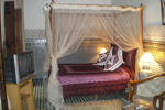 Riad Sara - Image 4
