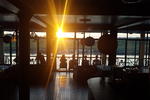 Jungle Wildlife Camp - Image 2