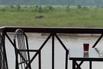 Jungle Wildlife Camp