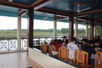 Jungle Wildlife Camp - Image 5
