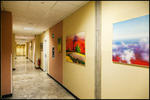 PLUS Florence - Image 7