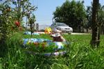 Lary Hostel - Image 4