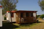 Camping Internazionale di Castelfusano - Image 3