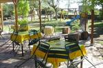 Camping Internazionale di Castelfusano - Image 4