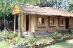 Eden Jungle Resort - Image 2