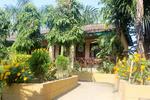 Eden Jungle Resort - Image 3