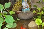 Casa Oshun Bed and Breakfast - Image 8
