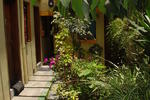 Photos of Casa Agua Canela