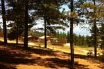 Photos of Buena Vista Cabañas