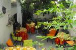Guesthouse Casa Pombal - Image 3