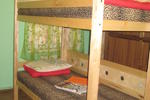 Tiger hostel - Image 3