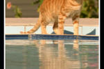 Apollon Hotel Apartments - Image 2
