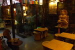 Bodhi Tree - Image 4