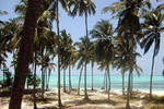 Zanzibar Fairytale Guesthouse - Image 2