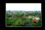 Mogli Resorts - Image 1