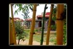 Mogli Resorts - Image 5