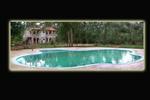 Mogli Jungle Resorts - Image 2