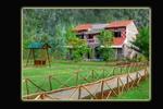 Mogli Jungle Resorts - Image 4