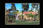 Mogli Jungle Resorts - Image 5
