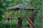 Mogli Jungle Resorts - Image 6