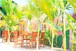 Palm Garden Lodge - Image 5